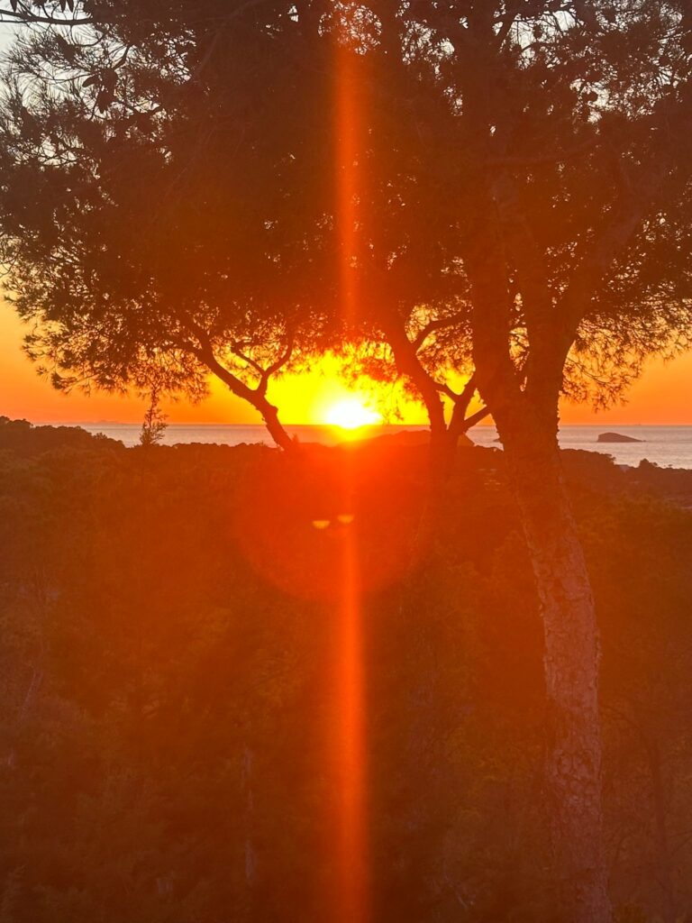 f13a78d0-ebdb-4a67-a242-195757c1eb87 2